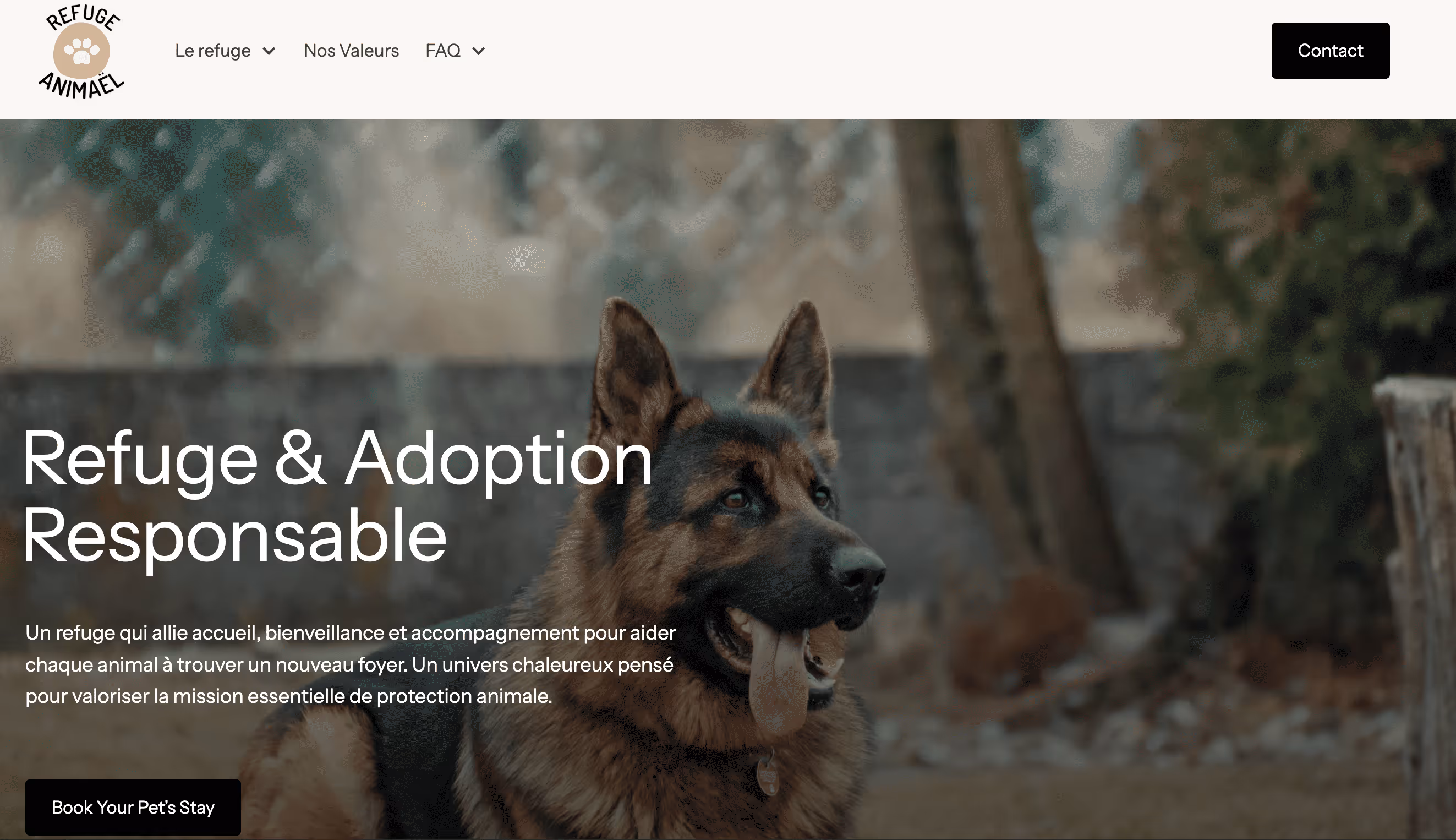 [digital project] image of past client project on a tablet (for a ai developer tools)